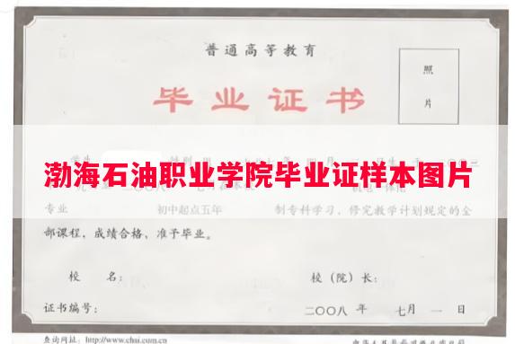 渤海石油职业学院毕业证样本图片