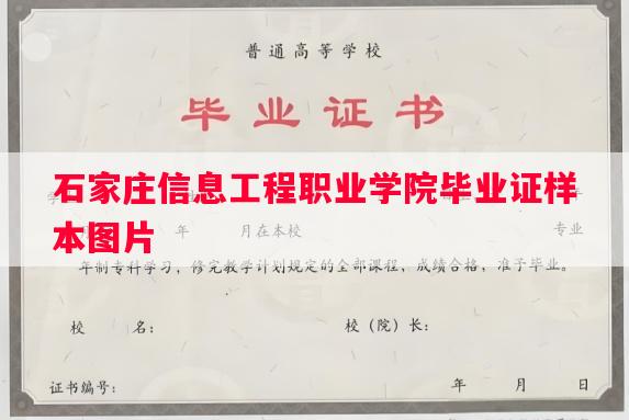 石家庄信息工程职业学院毕业证样本图片