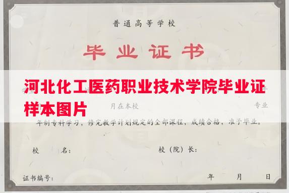 河北化工医药职业技术学院毕业证样本图片