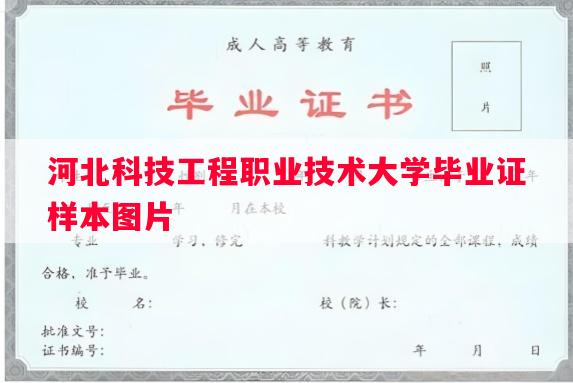 河北科技工程职业技术大学毕业证样本图片