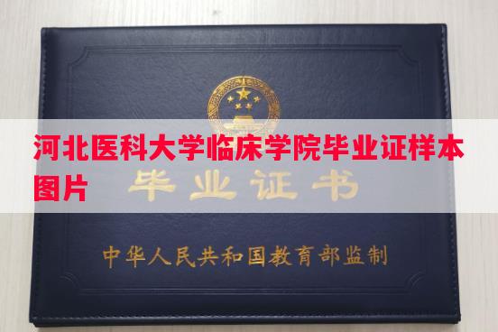 河北医科大学临床学院毕业证样本图片