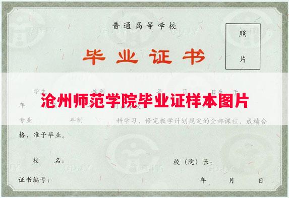 沧州师范学院毕业证样本图片