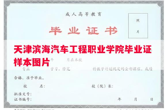 天津滨海汽车工程职业学院毕业证样本图片