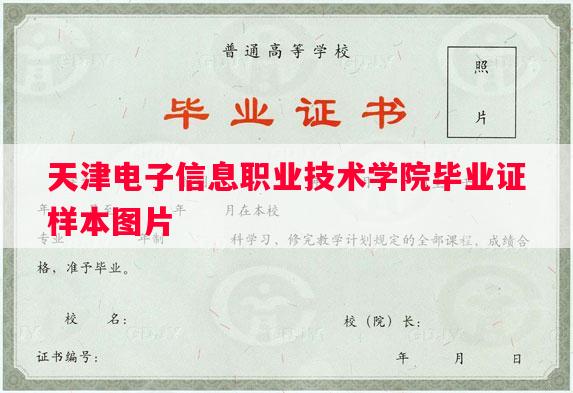 天津电子信息职业技术学院毕业证样本图片