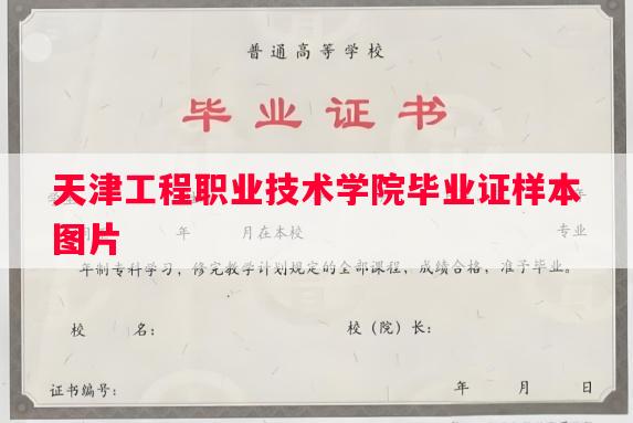 天津工程职业技术学院毕业证样本图片