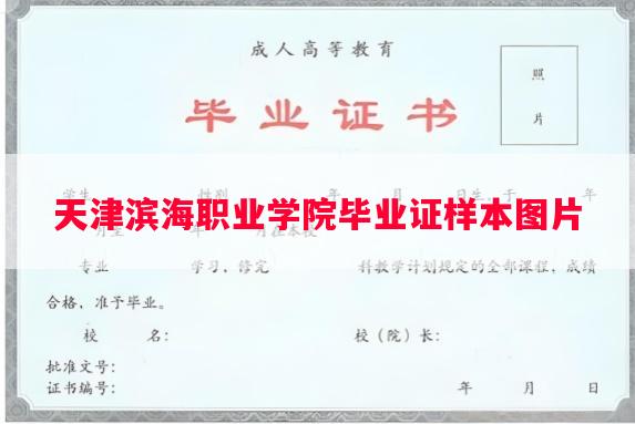 天津滨海职业学院毕业证样本图片