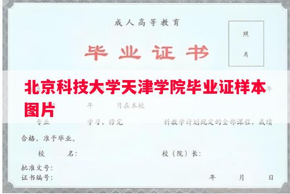 北京科技大学天津学院毕业证样本图片