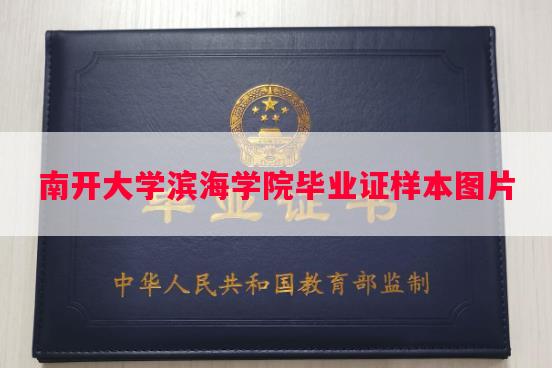 南开大学滨海学院毕业证样本图片