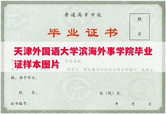 天津外国语大学滨海外事学院毕业证样本图片