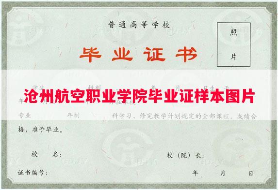沧州航空职业学院毕业证样本图片