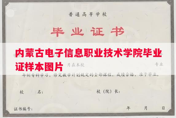 内蒙古电子信息职业技术学院毕业证样本图片