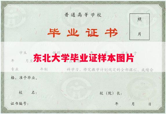 东北大学毕业证样本图片