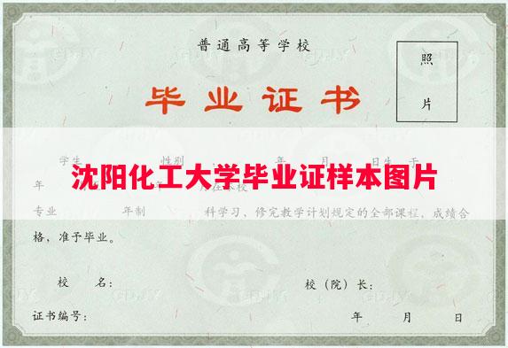 沈阳化工大学毕业证样本图片