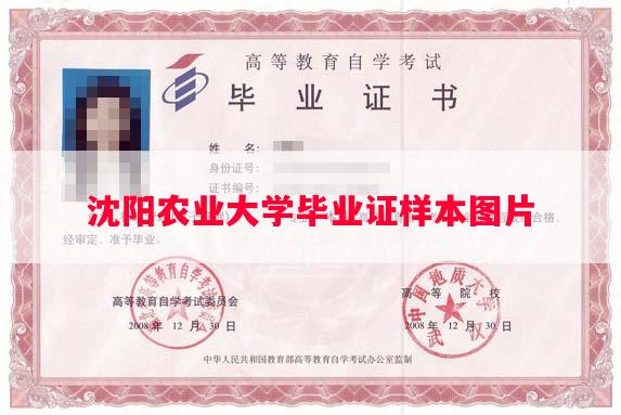 沈阳农业大学毕业证样本图片