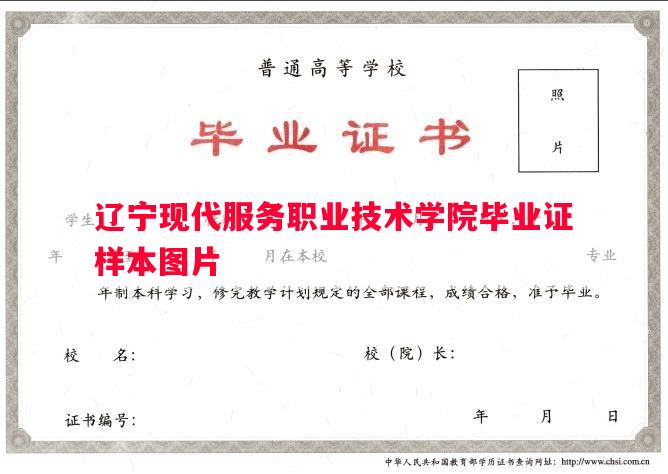 辽宁现代服务职业技术学院毕业证样本图片