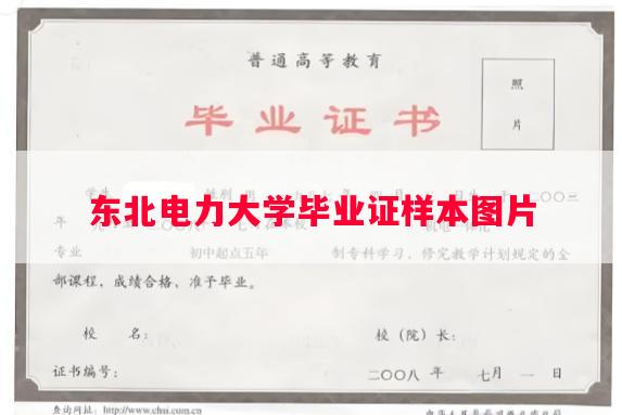 东北电力大学毕业证样本图片