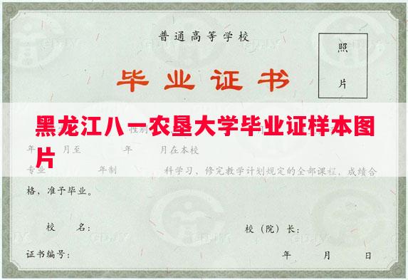 黑龙江八一农垦大学毕业证样本图片