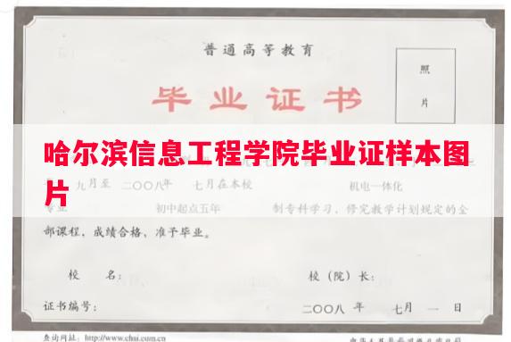 哈尔滨信息工程学院毕业证样本图片