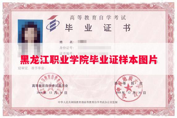 黑龙江职业学院毕业证样本图片