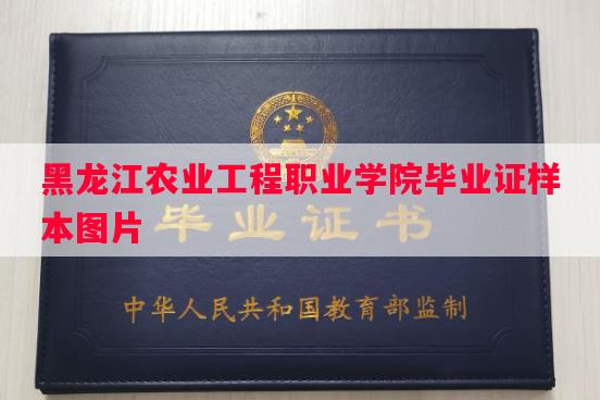 黑龙江农业工程职业学院毕业证样本图片
