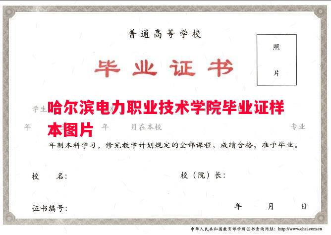 哈尔滨电力职业技术学院毕业证样本图片