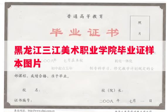 黑龙江三江美术职业学院毕业证样本图片