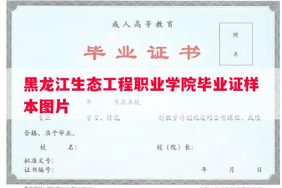 黑龙江生态工程职业学院毕业证样本图片 黑龙江生态工程职业学院毕业证样本图片