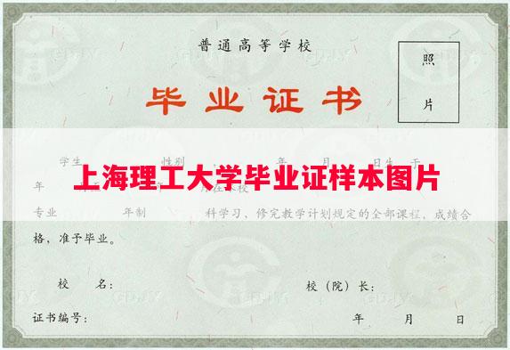 上海理工大学毕业证样本图片