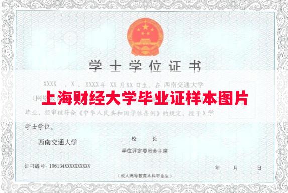上海财经大学毕业证样本图片