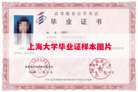 上海大学毕业证样本图片