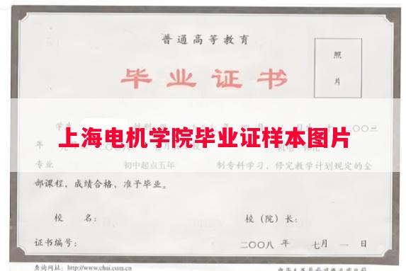 上海电机学院毕业证样本图片