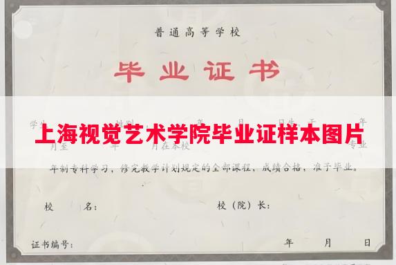 上海视觉艺术学院毕业证样本图片