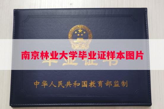 南京林业大学毕业证样本图片