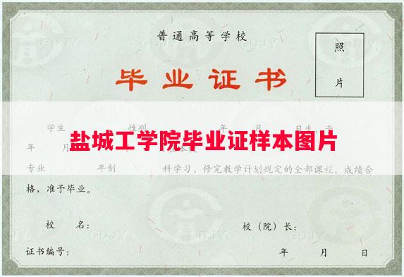 盐城工学院毕业证样本图片