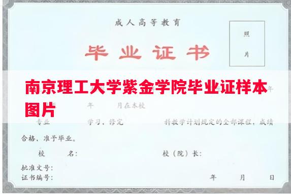 南京理工大学紫金学院毕业证样本图片