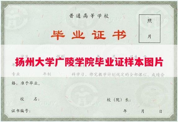 扬州大学广陵学院毕业证样本图片