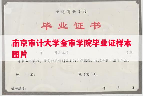 南京审计大学金审学院毕业证样本图片