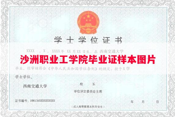 沙洲职业工学院毕业证样本图片
