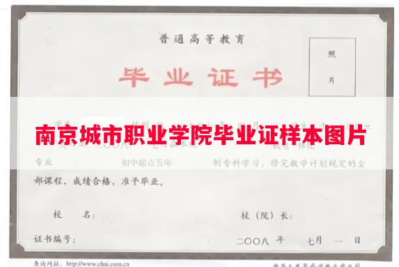 南京城市职业学院毕业证样本图片