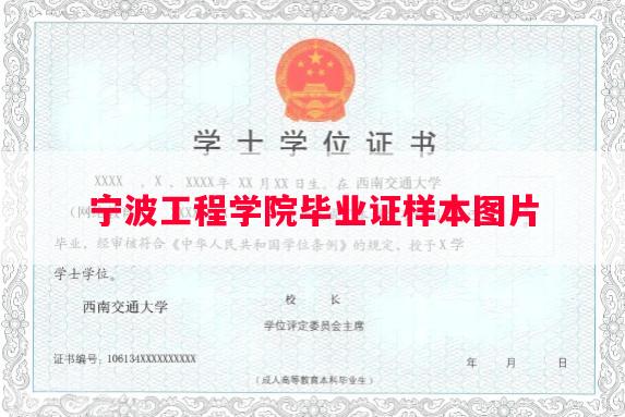 宁波工程学院毕业证样本图片