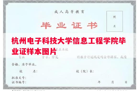 杭州电子科技大学信息工程学院毕业证样本图片