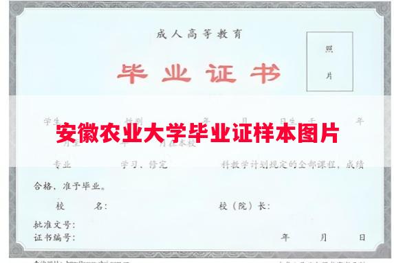 安徽农业大学毕业证样本图片