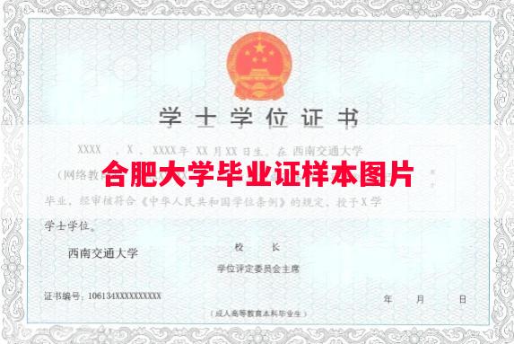 合肥大学毕业证样本图片
