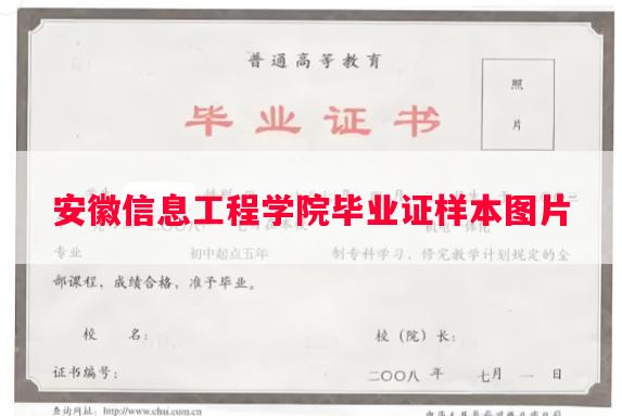 安徽信息工程学院毕业证样本图片