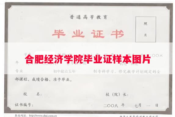 合肥经济学院毕业证样本图片