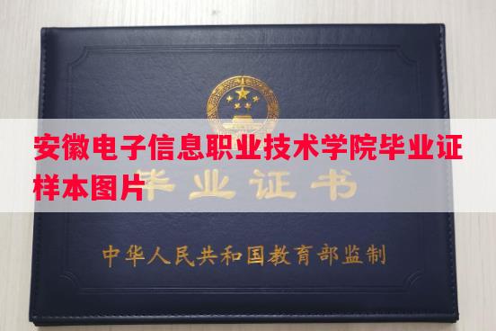 安徽电子信息职业技术学院毕业证样本图片
