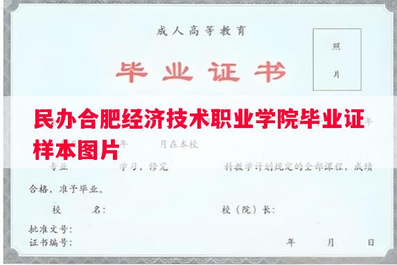 民办合肥经济技术职业学院毕业证样本图片