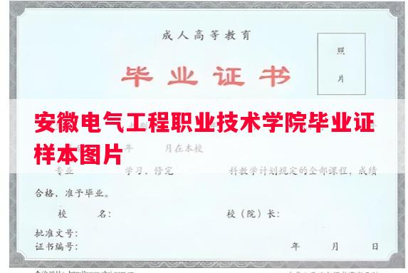 安徽电气工程职业技术学院毕业证样本图片