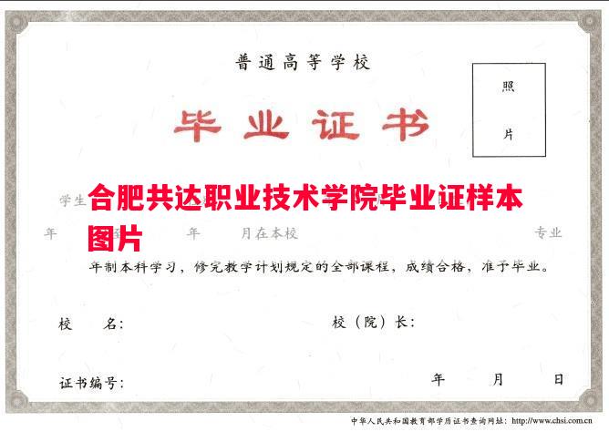 合肥共达职业技术学院毕业证样本图片