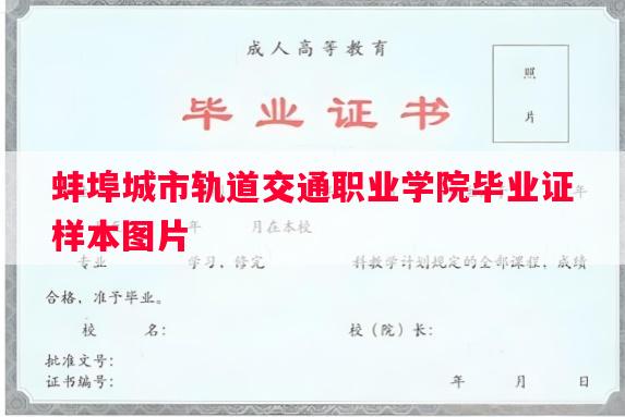 蚌埠城市轨道交通职业学院毕业证样本图片